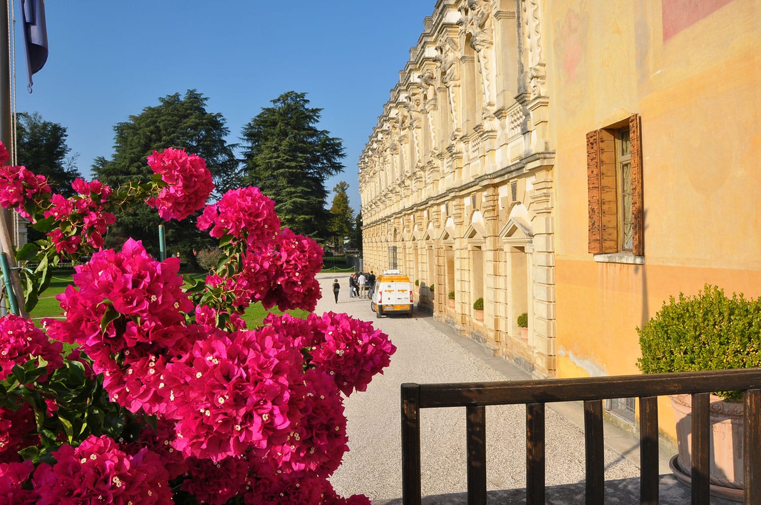 Gallery 2014